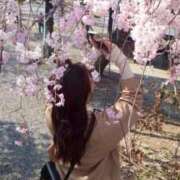 ヒメ日記 2026/02/24 13:58 投稿 すず マドンナSANSAIN