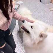 ヒメ日記 2025/11/30 16:32 投稿 こゆき【FG系列】 ハンドdeフィーリングin横浜（FG系列）