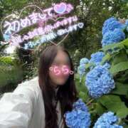 ヒメ日記 2025/10/04 00:21 投稿 らら 桃李（とうり）