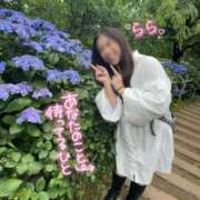 ヒメ日記 2025/10/07 13:27 投稿 らら 桃李（とうり）