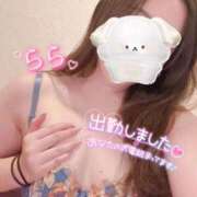 ヒメ日記 2025/10/09 15:14 投稿 らら 桃李（とうり）