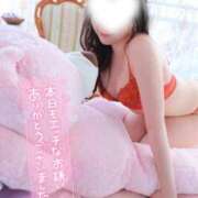 ヒメ日記 2025/10/11 00:14 投稿 らら 桃李（とうり）