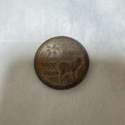 ヒメ日記 2025/10/19 20:14 投稿 らら 桃李（とうり）