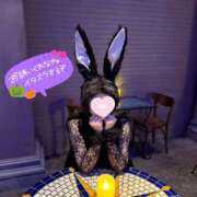 ヒメ日記 2025/10/21 21:04 投稿 らら 桃李（とうり）