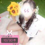 ヒメ日記 2025/10/28 21:14 投稿 らら 桃李（とうり）