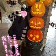 ヒメ日記 2025/10/30 18:14 投稿 らら 桃李（とうり）