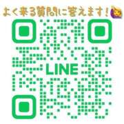 ヒメ日記 2025/11/01 10:14 投稿 らら 桃李（とうり）