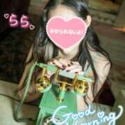 ヒメ日記 2025/11/05 04:44 投稿 らら 桃李（とうり）