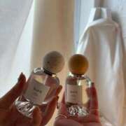 ヒメ日記 2025/11/07 15:04 投稿 らら 桃李（とうり）