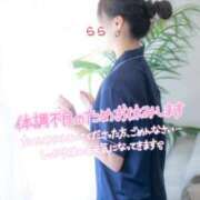 ヒメ日記 2025/11/07 22:14 投稿 らら 桃李（とうり）