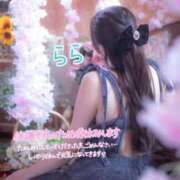 ヒメ日記 2025/11/08 19:46 投稿 らら 桃李（とうり）