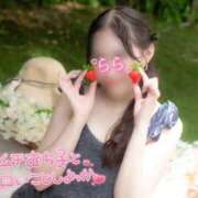 ヒメ日記 2025/11/12 15:14 投稿 らら 桃李（とうり）