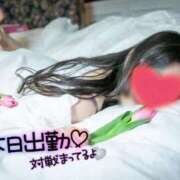 ヒメ日記 2025/11/14 05:14 投稿 らら 桃李（とうり）