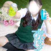 ヒメ日記 2025/11/21 06:19 投稿 らら 桃李（とうり）