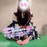 ヒメ日記 2025/11/21 10:04 投稿 らら 桃李（とうり）