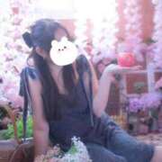 ヒメ日記 2025/11/25 18:16 投稿 らら 桃李（とうり）