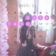 ヒメ日記 2025/11/27 21:14 投稿 らら 桃李（とうり）