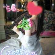 ヒメ日記 2025/11/30 00:04 投稿 らら 桃李（とうり）