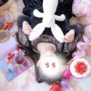 ヒメ日記 2025/12/01 10:14 投稿 らら 桃李（とうり）