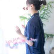 ヒメ日記 2025/12/03 09:20 投稿 らら 桃李（とうり）