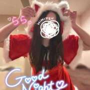 ヒメ日記 2025/12/09 00:14 投稿 らら 桃李（とうり）