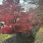 しゅしゅ 紅葉見てきたよ🍁 ゆるふわKISS