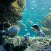 伊月ゆあ お疲れ様です🌃 やみつきエステ千葉栄町店