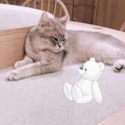 ヒメ日記 2025/10/06 14:21 投稿 あむ プロフィール 岡山店