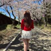 ヒメ日記 2026/04/09 22:07 投稿 芽（めい） 男爵