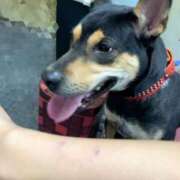 ヒメ日記 2025/11/29 20:05 投稿 みさと ノーブラで誘惑する奥さん谷九・日本橋