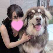 ヒメ日記 2025/10/09 07:49 投稿 まい MIKADO