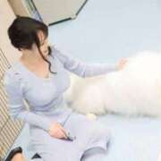 ヒメ日記 2025/10/24 11:41 投稿 まい MIKADO