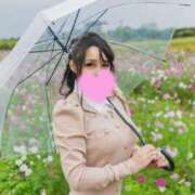 ヒメ日記 2025/10/28 07:51 投稿 まい MIKADO