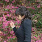 ヒメ日記 2025/11/02 08:27 投稿 まい MIKADO