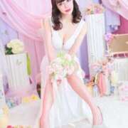 ヒメ日記 2025/11/17 20:51 投稿 まい MIKADO