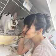 ヒメ日記 2025/11/21 20:02 投稿 まい MIKADO