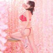 ヒメ日記 2025/11/29 07:45 投稿 まい MIKADO