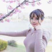 ヒメ日記 2025/11/29 14:02 投稿 まい MIKADO