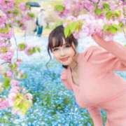 ヒメ日記 2025/12/01 08:16 投稿 まい MIKADO