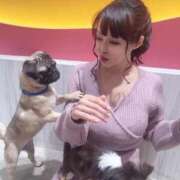 ヒメ日記 2025/12/03 19:51 投稿 まい MIKADO