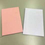 ヒメ日記 2025/12/23 09:35 投稿 天音りお Finemotion