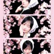 ヒメ日記 2026/03/25 08:30 投稿 天音りお Finemotion