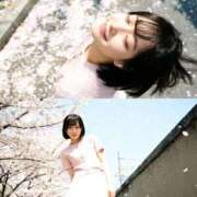 ヒメ日記 2026/03/31 08:33 投稿 天音りお Finemotion