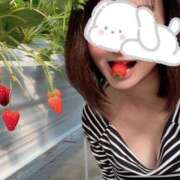 ヒメ日記 2025/11/19 22:46 投稿 岬ゆき ミセスレディ