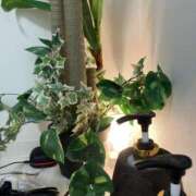 ヒメ日記 2025/10/25 13:02 投稿 あんり Mother Complex～マザーコンプレックス～