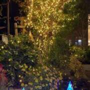 ヒメ日記 2025/11/16 22:49 投稿 あんり Mother Complex～マザーコンプレックス～