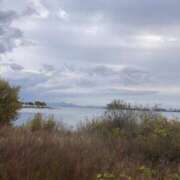 ヒメ日記 2025/12/04 10:58 投稿 あんり Mother Complex～マザーコンプレックス～