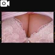 ヒメ日記 2025/10/29 18:09 投稿 セリ 浜松駅前ちゃんこ