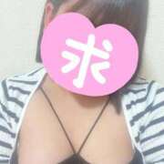 ヒメ日記 2025/11/02 15:17 投稿 セリ 浜松駅前ちゃんこ