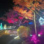 ヒメ日記 2025/12/15 21:00 投稿 うた 鹿児島ちゃんこ 薩摩川内店